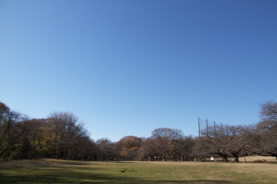 Photo: 本日、ホームページ開設です。